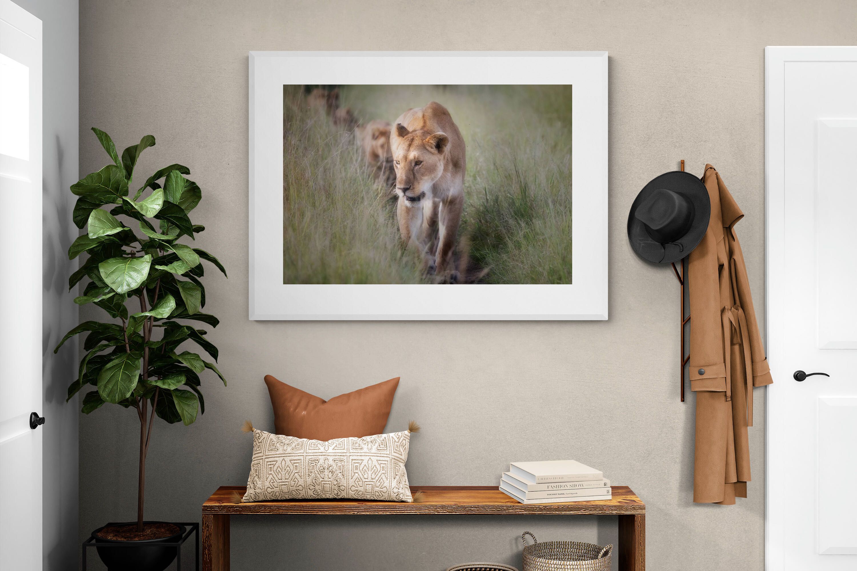 Pixalot Silent Pursuit