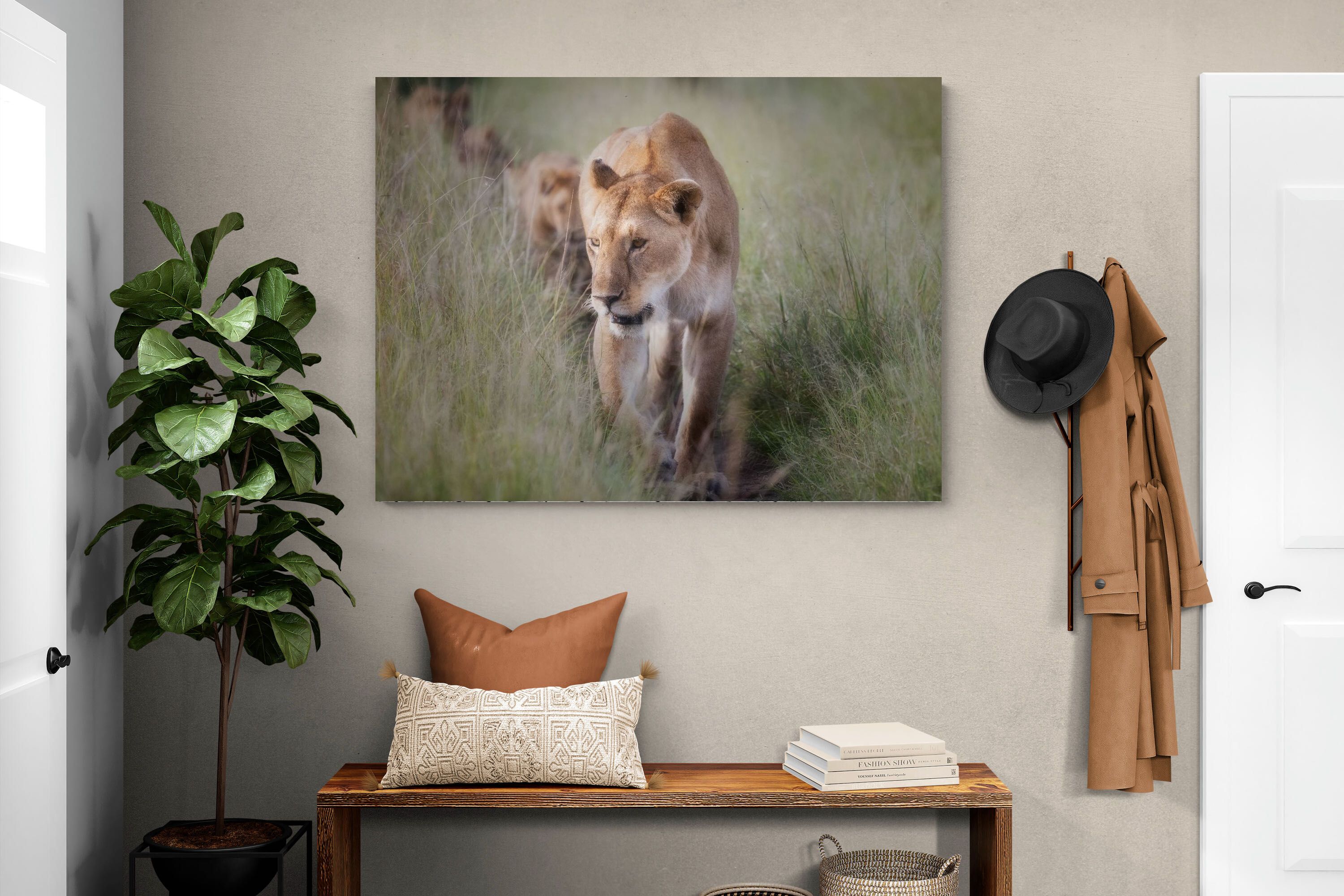 Pixalot Silent Pursuit