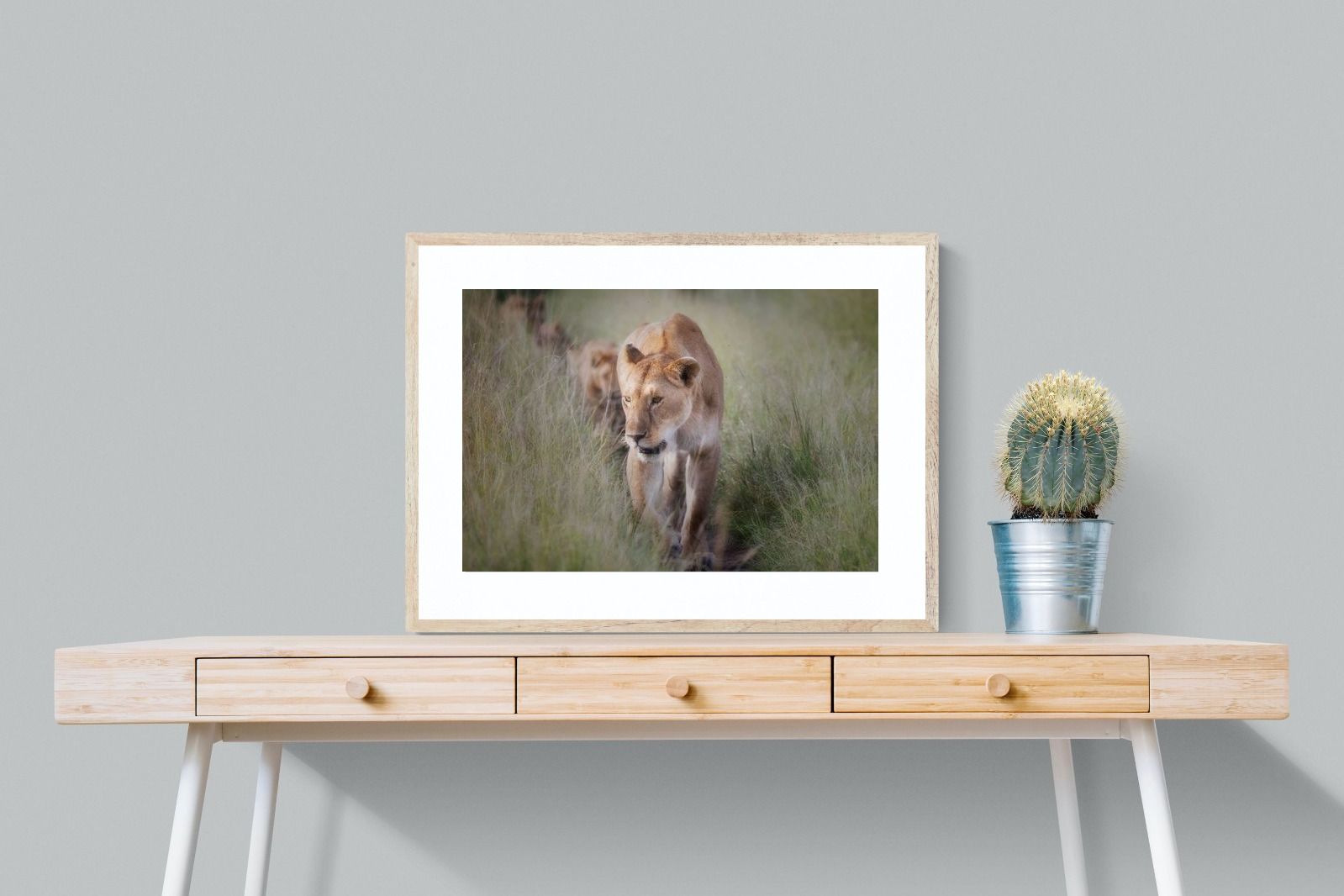 Pixalot Silent Pursuit