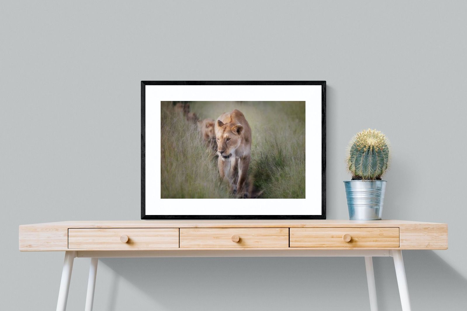 Pixalot Silent Pursuit