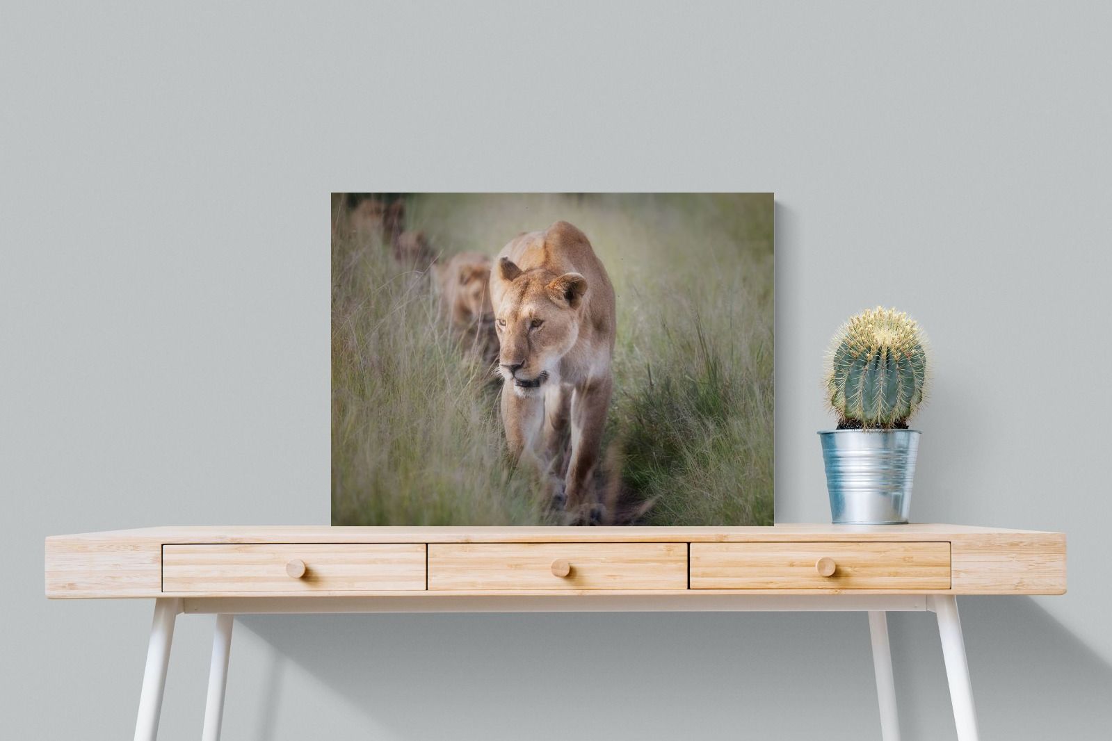 Pixalot Silent Pursuit