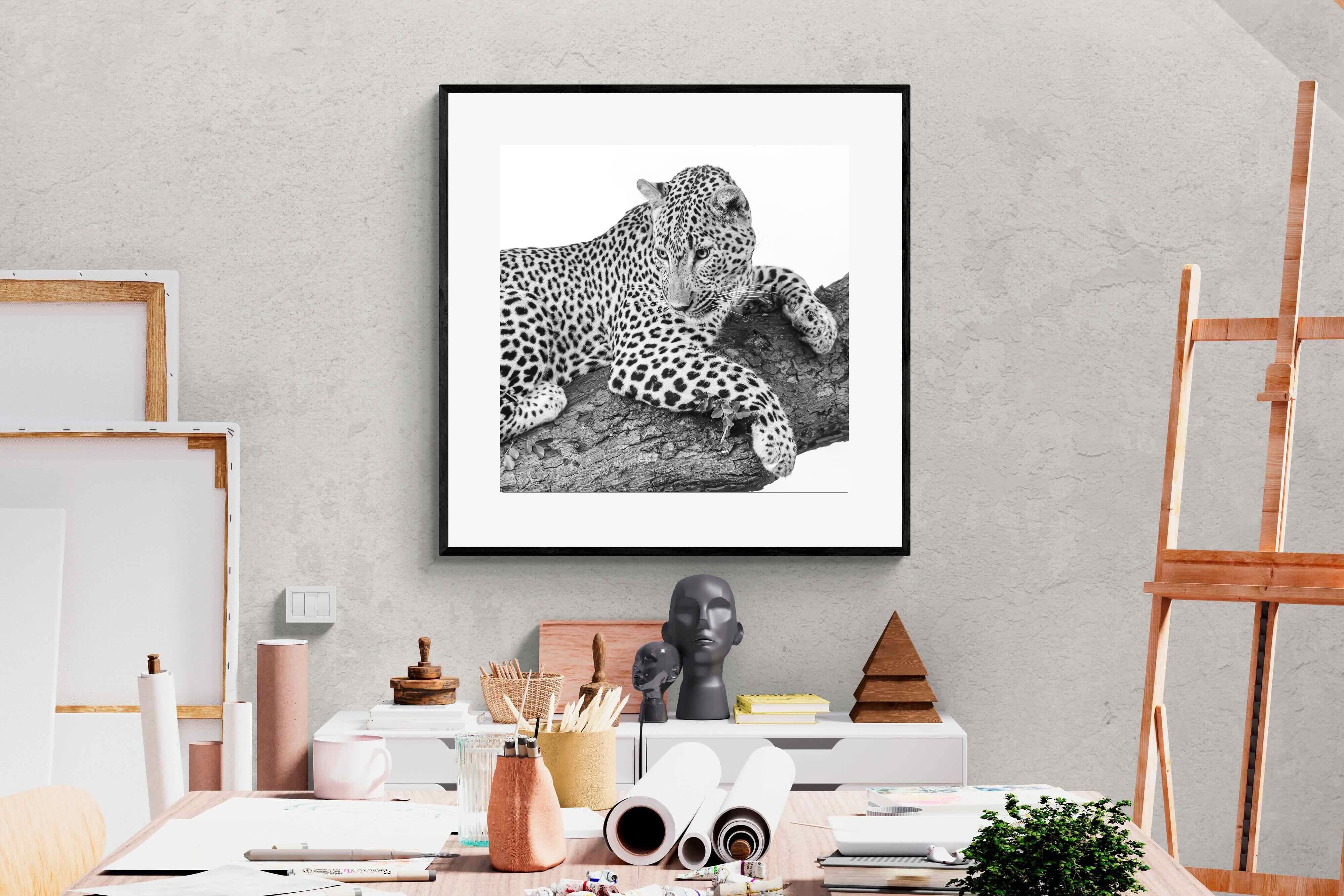 Pixalot Silent Watch