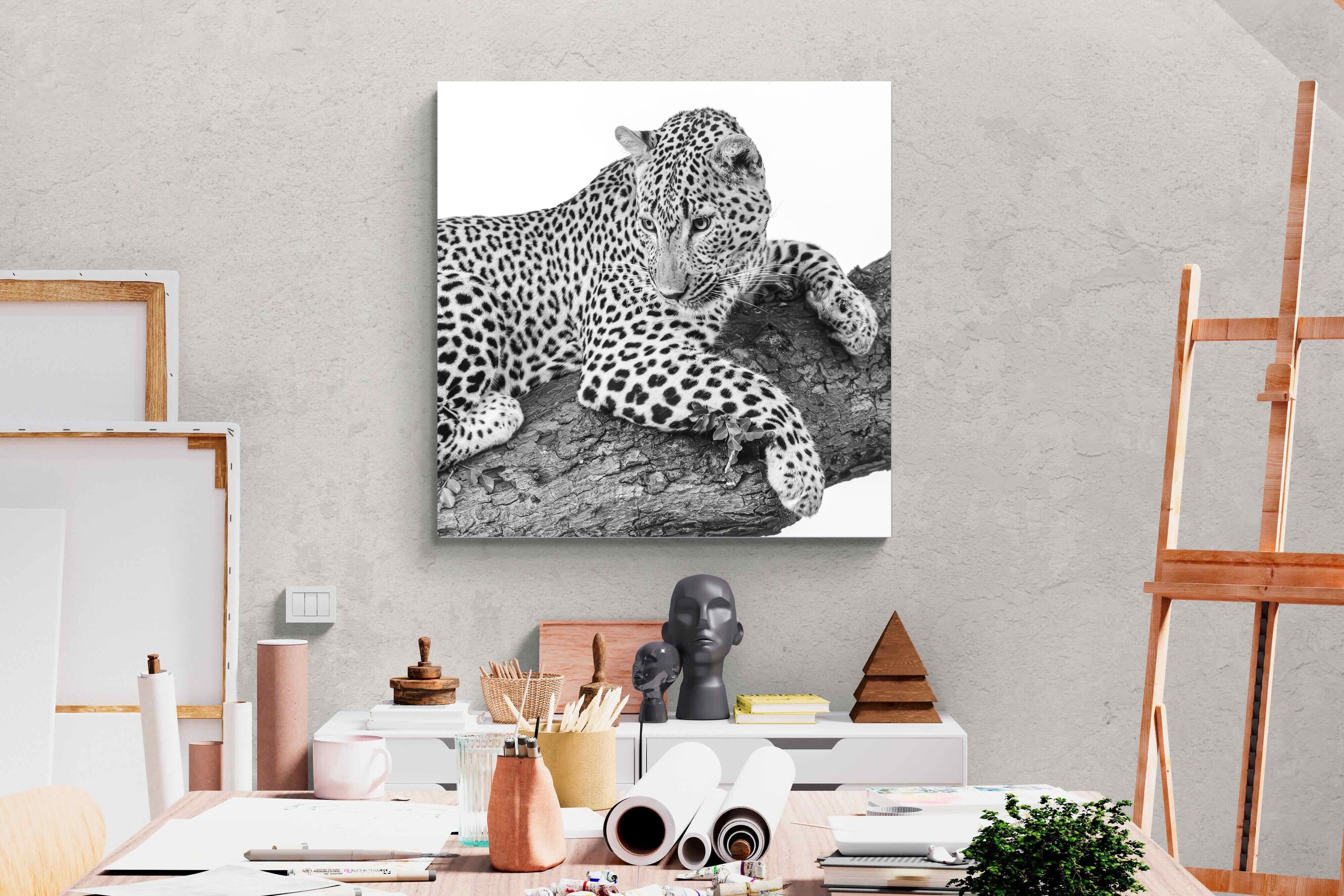 Pixalot Silent Watch