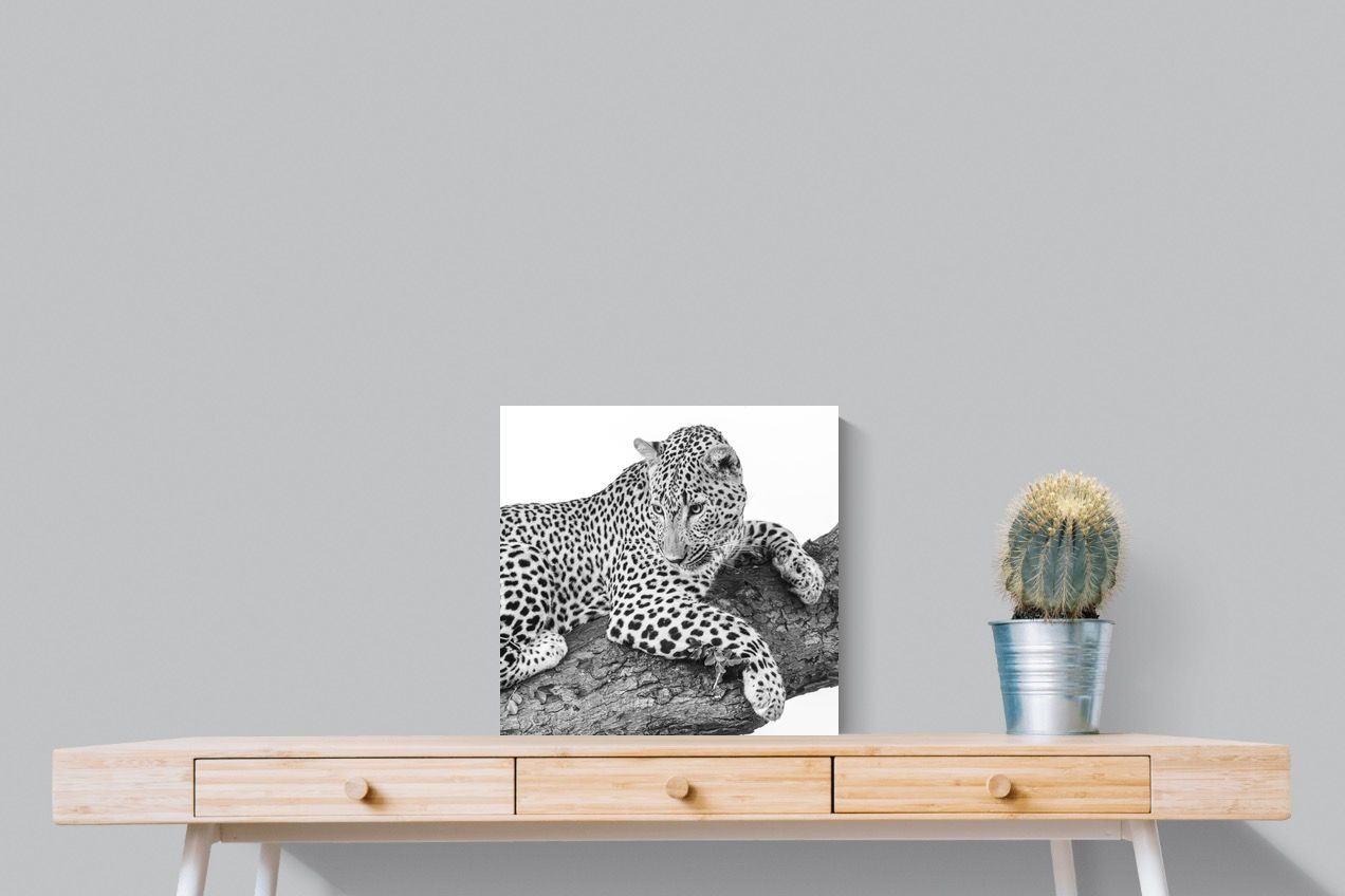 Pixalot Silent Watch