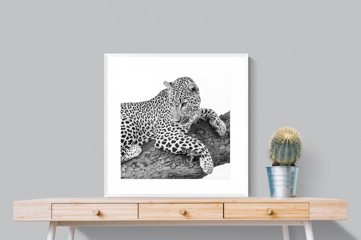 Pixalot Silent Watch