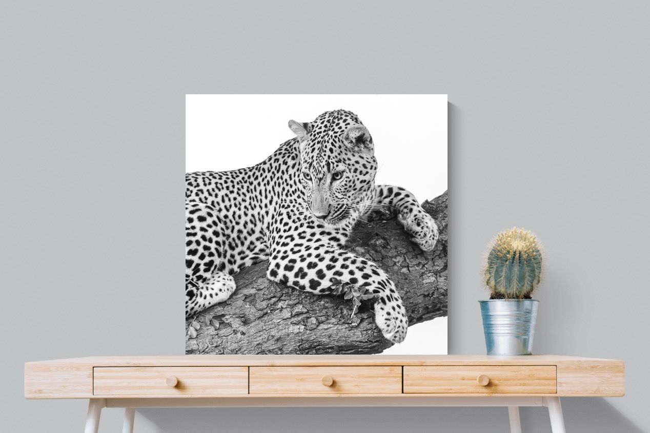 Pixalot Silent Watch