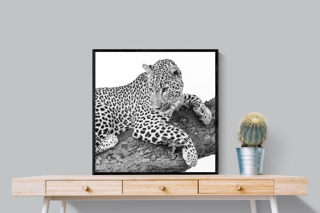 Pixalot Silent Watch