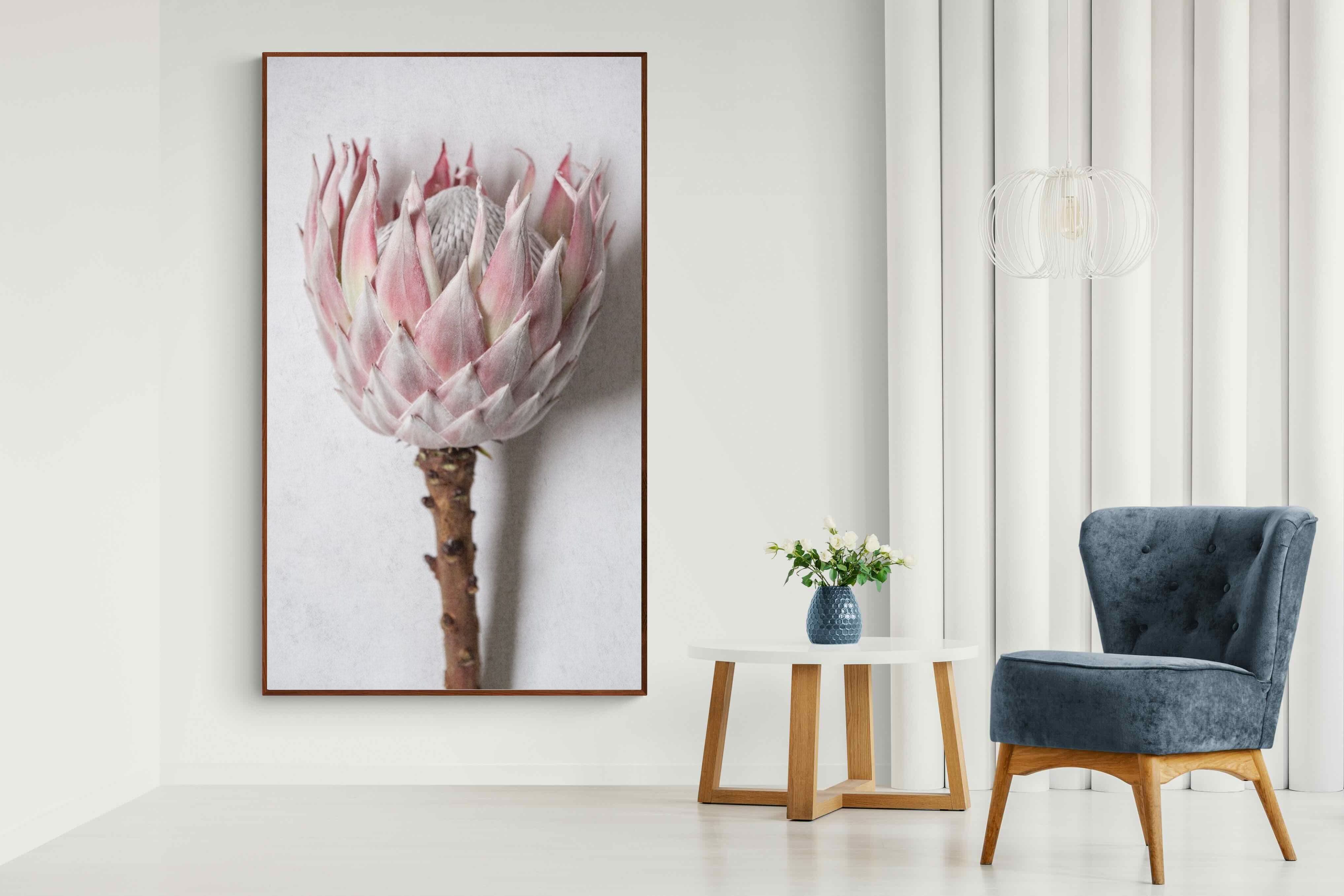 Pixalot Single Pink King Protea