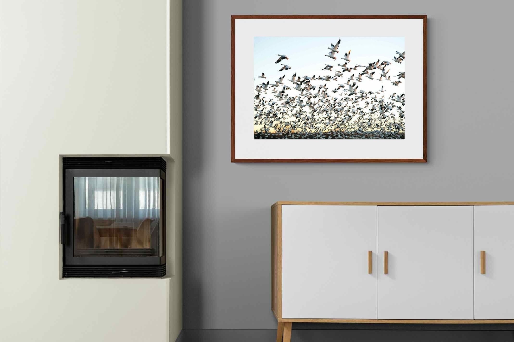 Pixalot ® Snow Geese