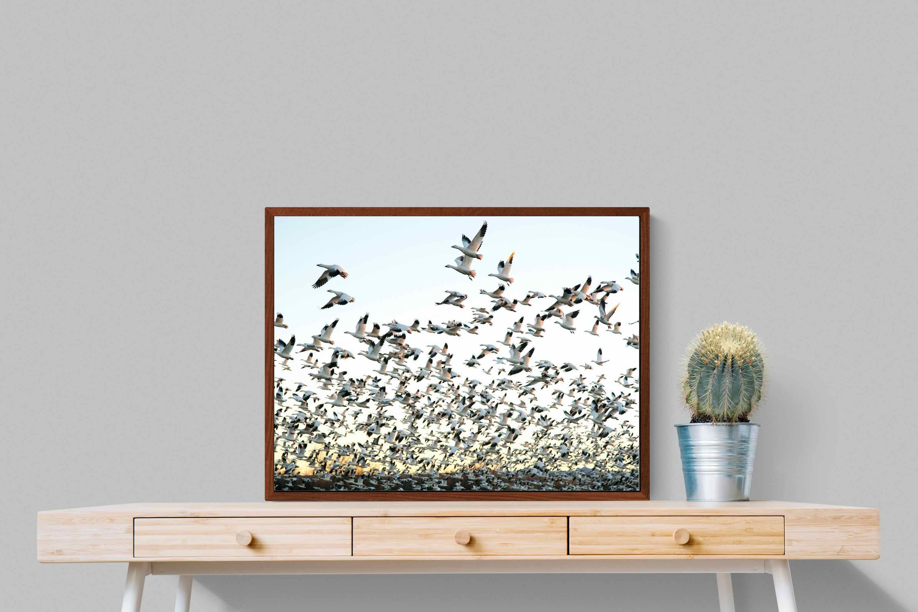 Pixalot ® Snow Geese
