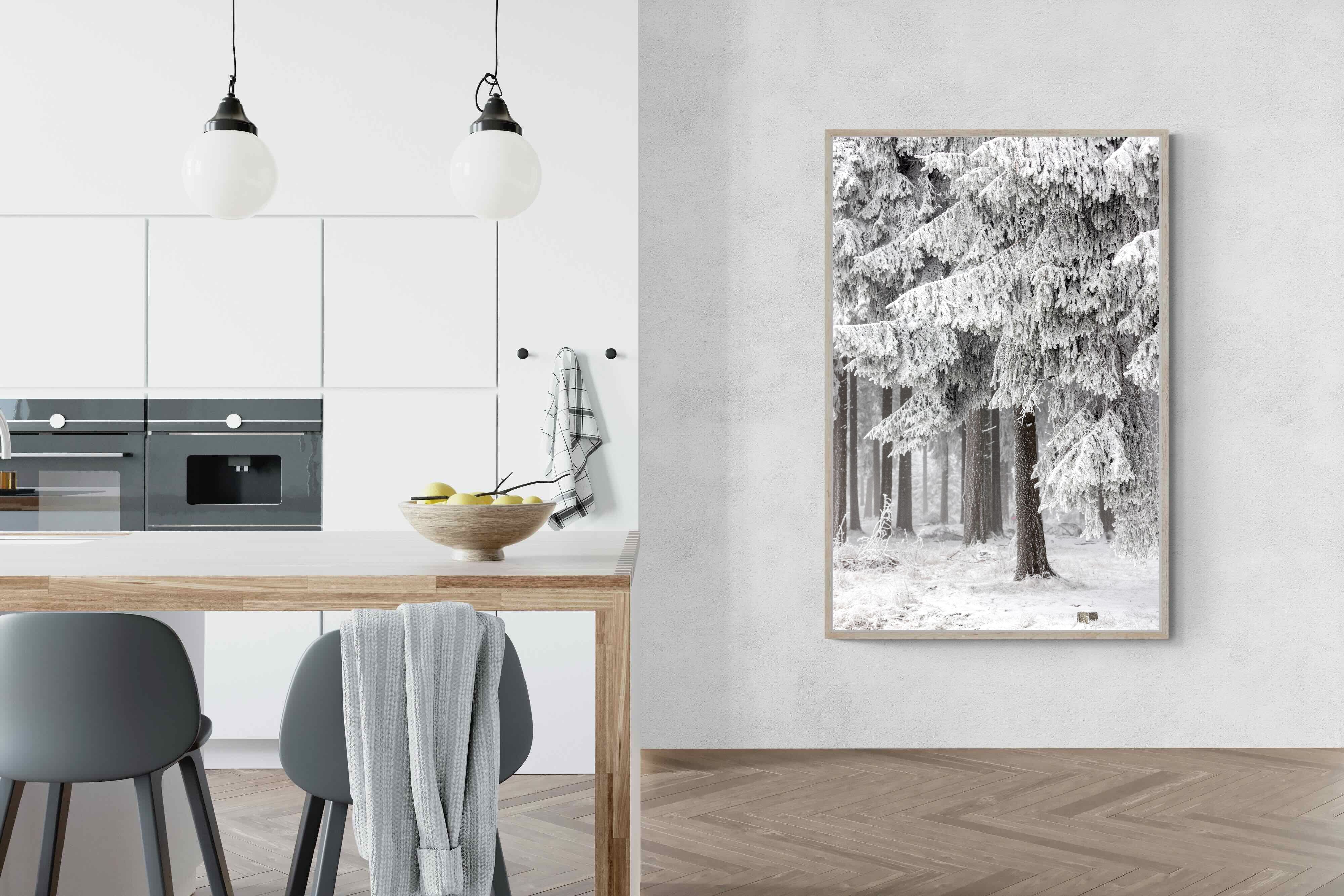 Pixalot Snowy Forest Silence