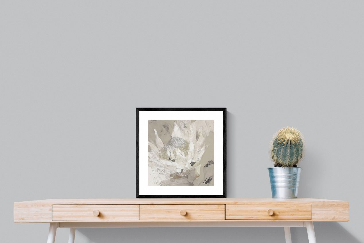 Pixalot ® Soft Protea