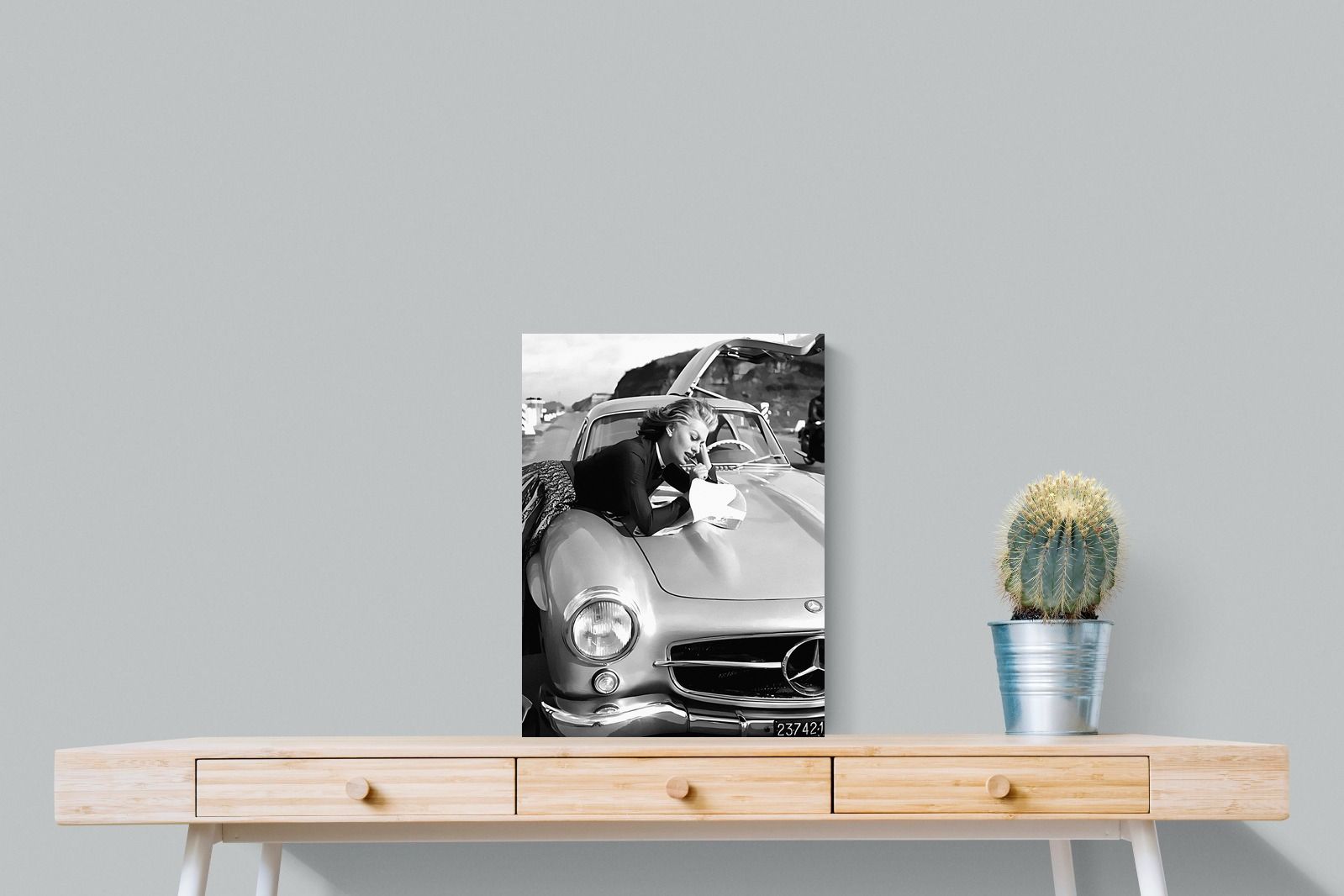 Pixalot Sophia Loren