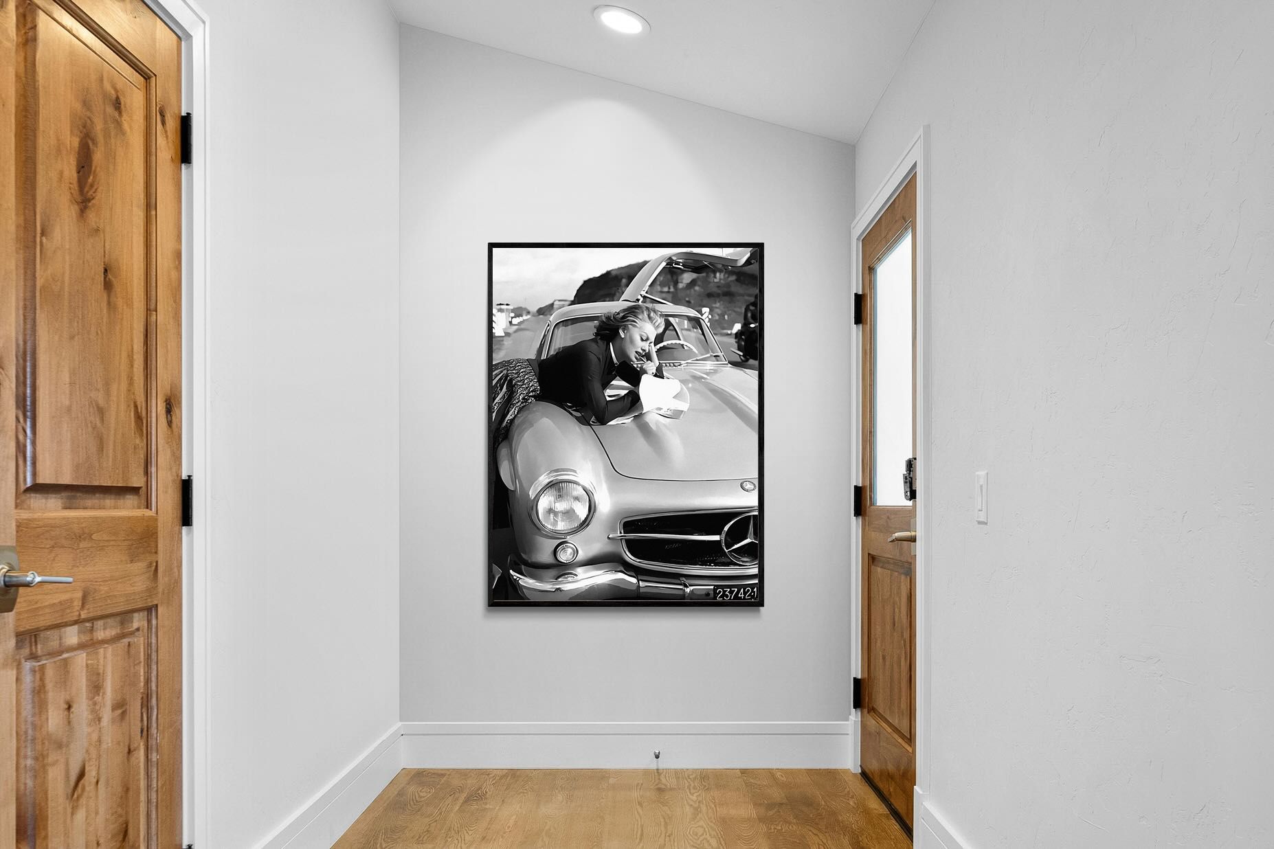 Pixalot Sophia Loren