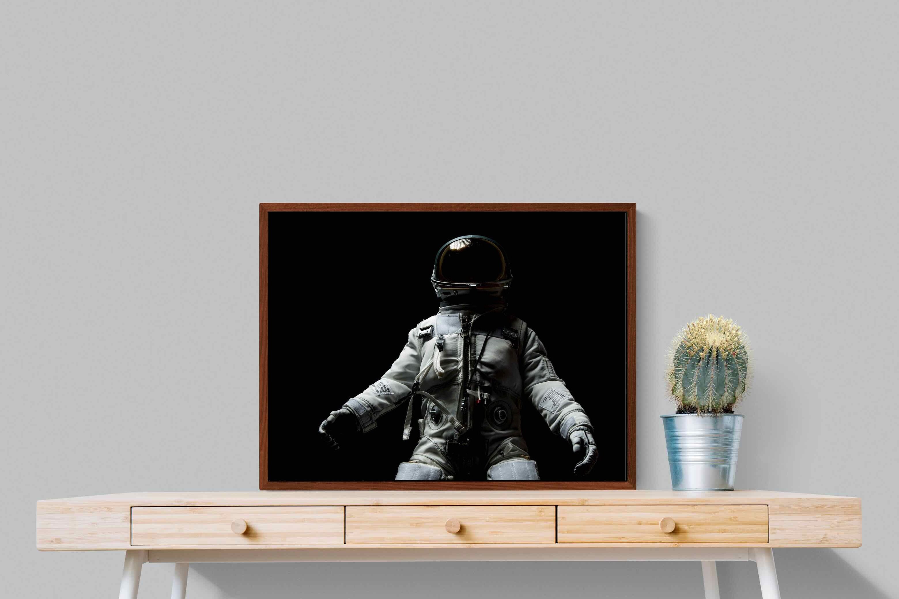 Pixalot ® Space Walk