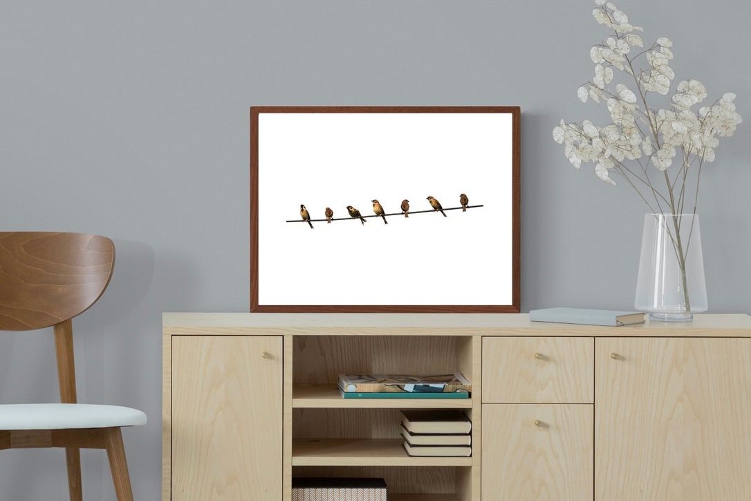 Pixalot ® Sparrows