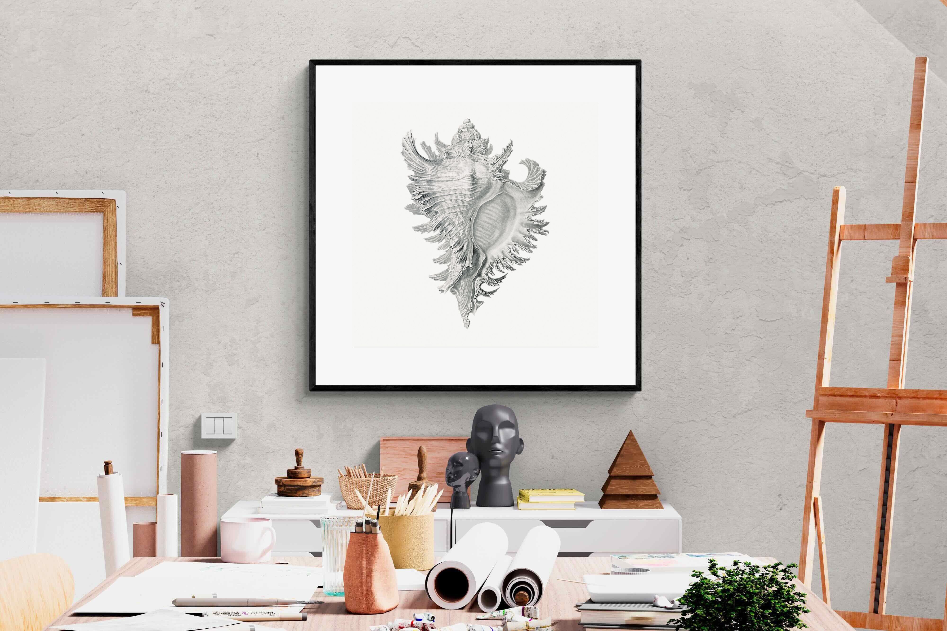 Pixalot Spiny Conch Shell