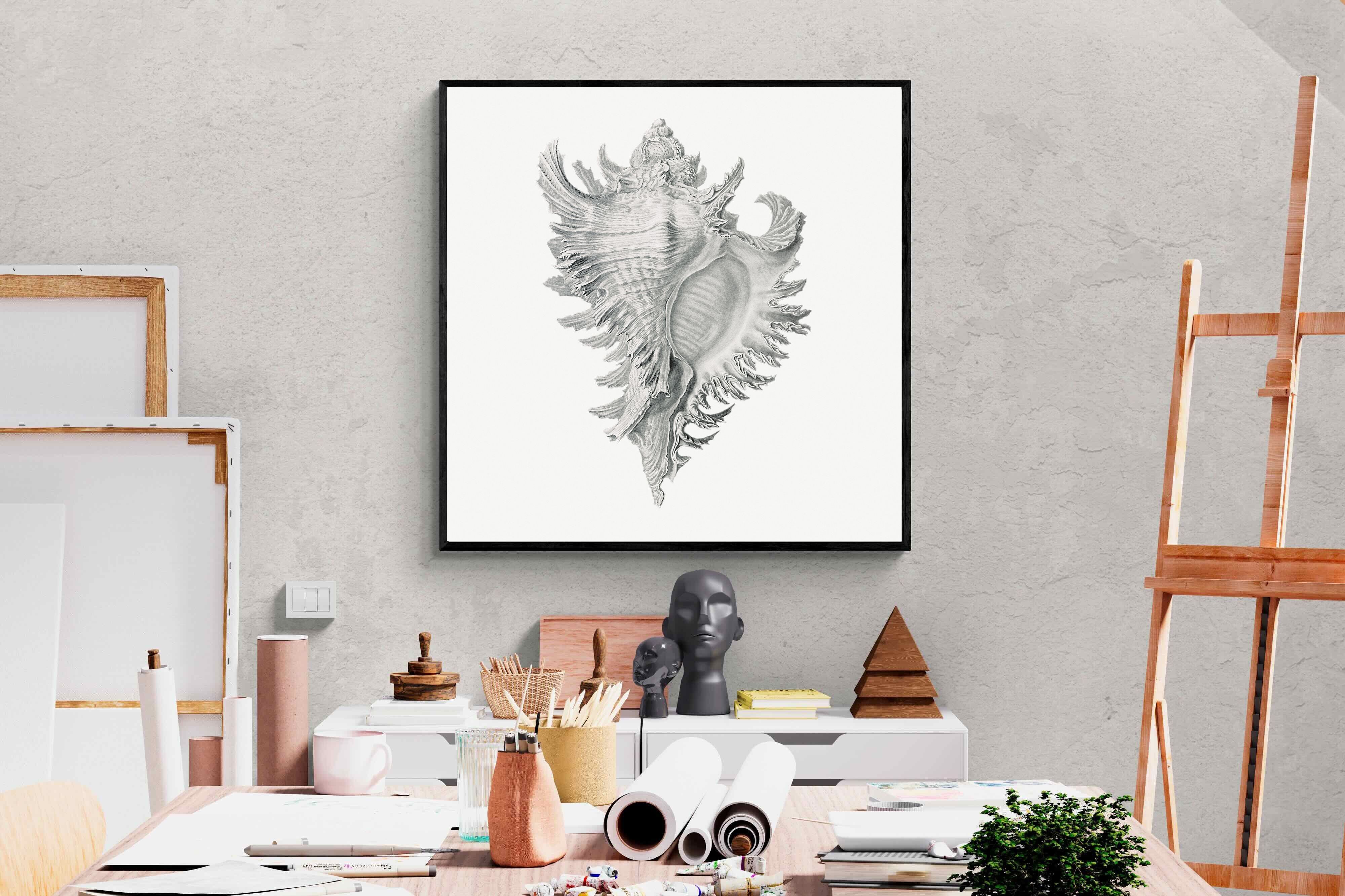 Pixalot Spiny Conch Shell