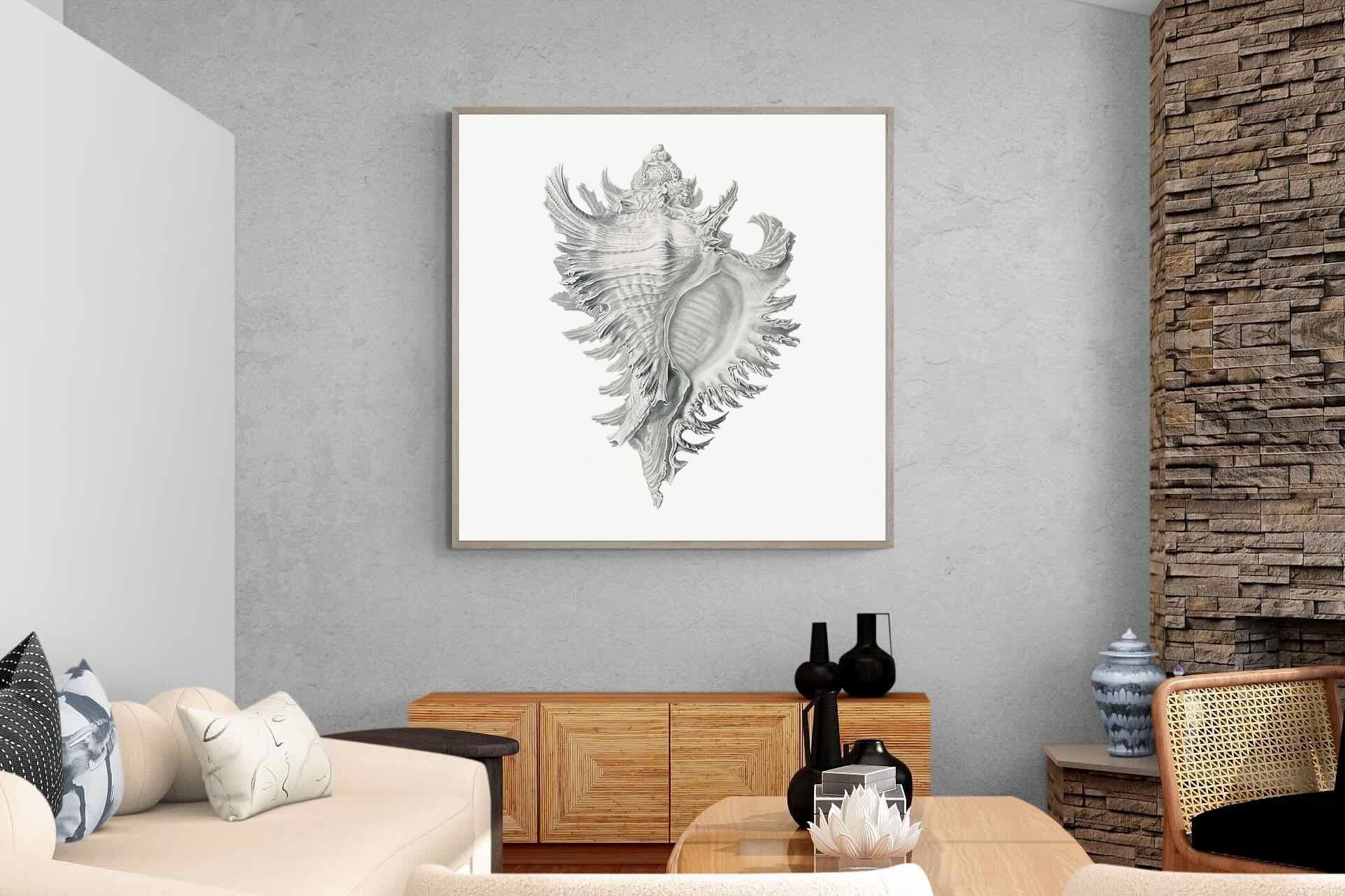 Pixalot Spiny Conch Shell