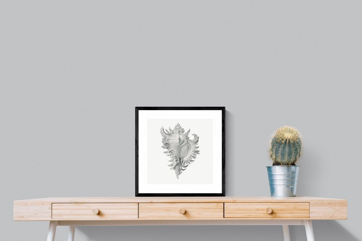 Pixalot Spiny Conch Shell