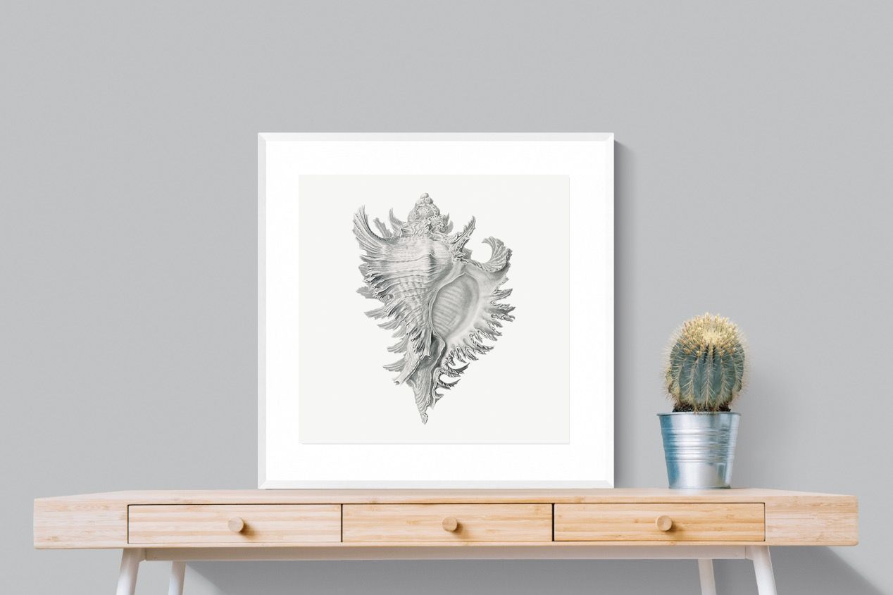 Pixalot Spiny Conch Shell