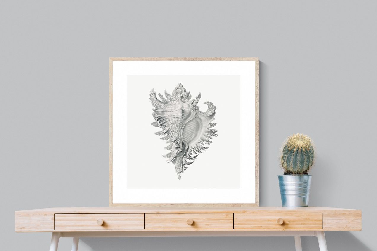 Pixalot Spiny Conch Shell