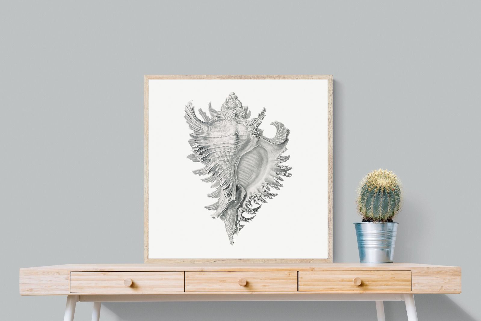 Pixalot Spiny Conch Shell