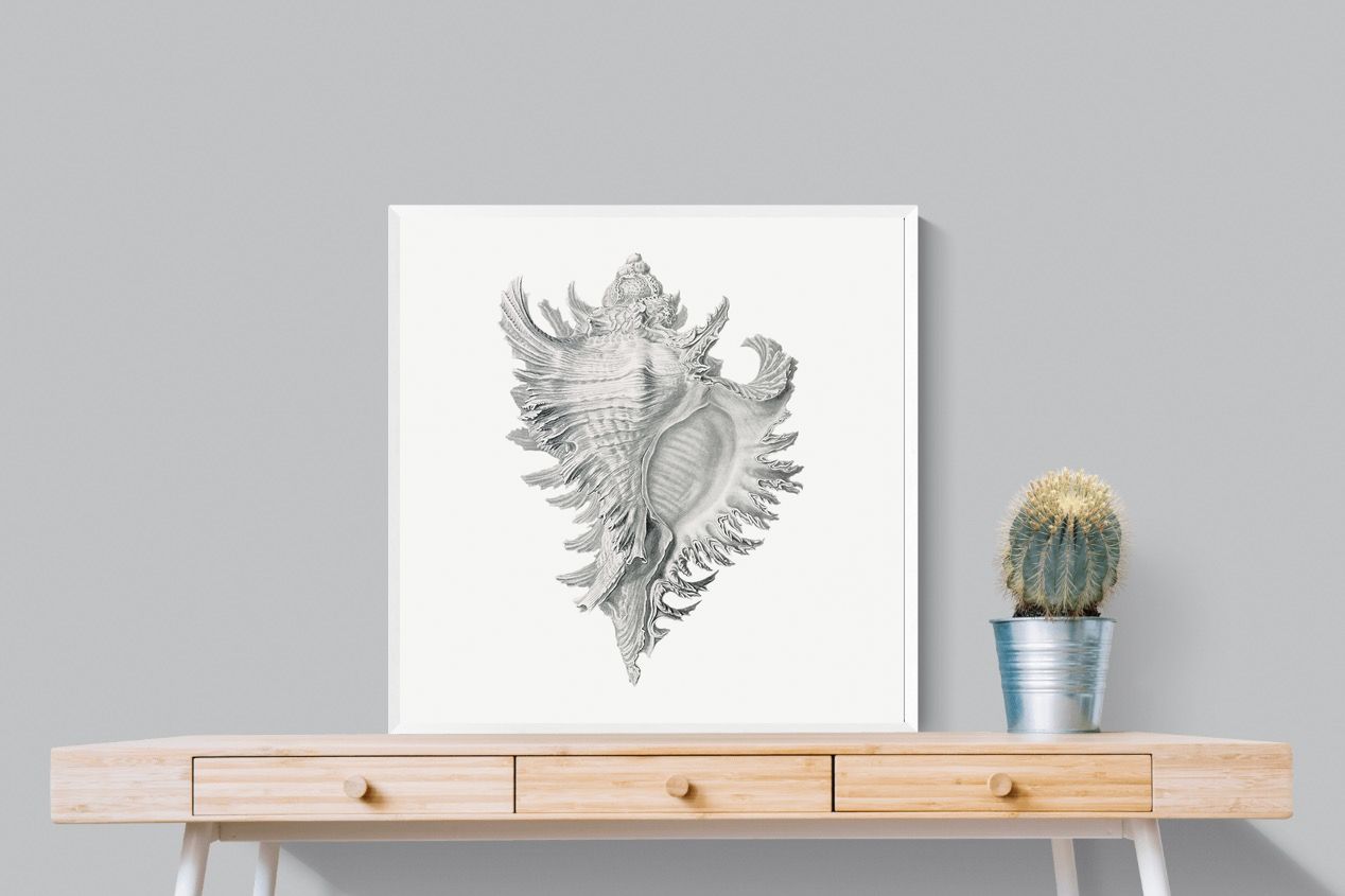 Pixalot Spiny Conch Shell