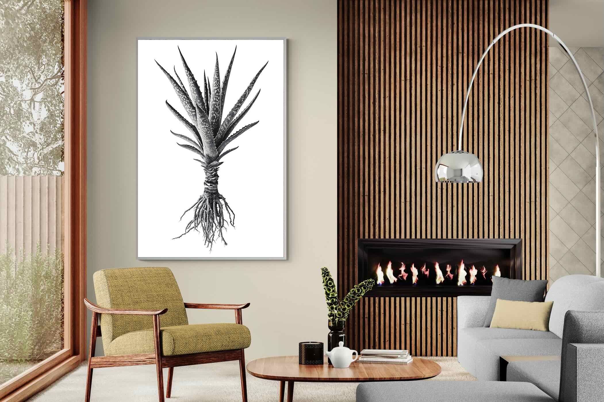 Pixalot Spotted Aloe