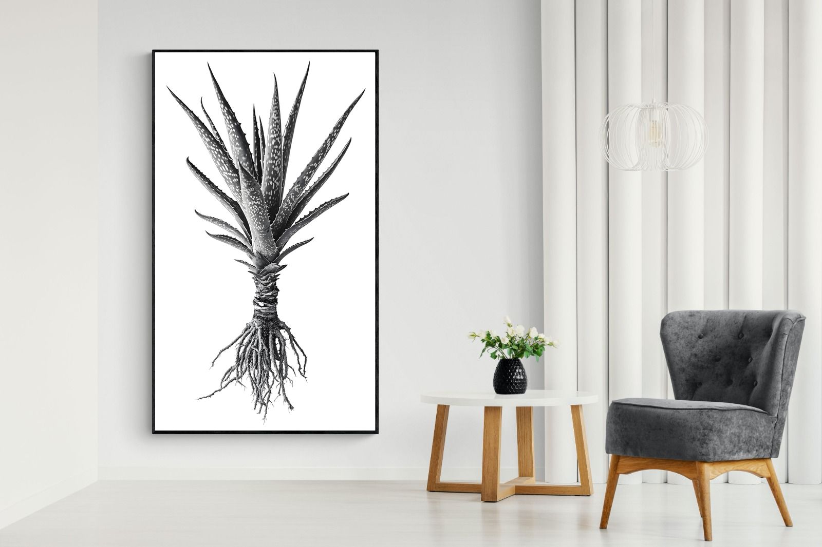 Pixalot Spotted Aloe