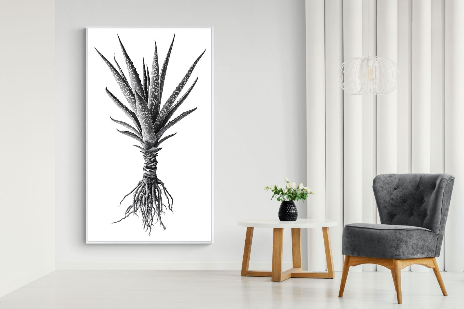 Pixalot Spotted Aloe