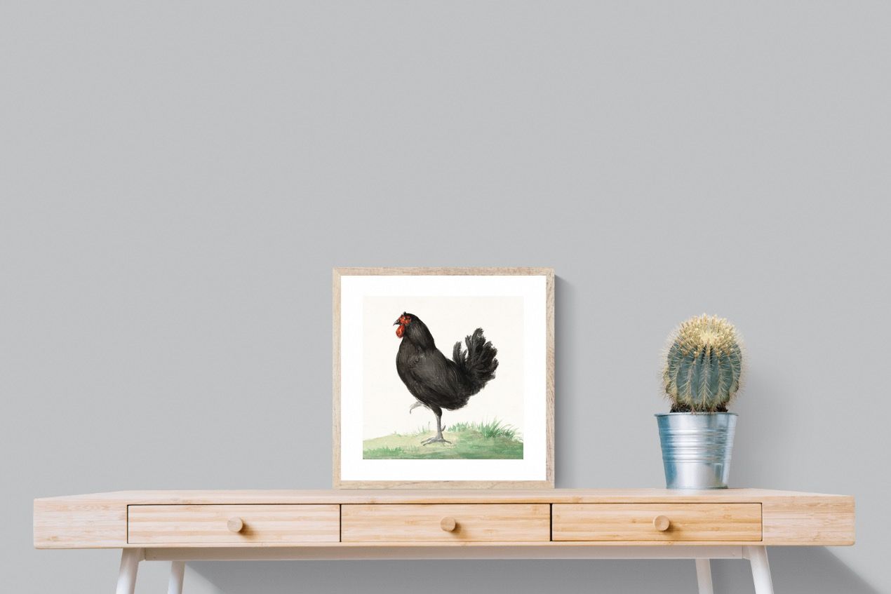 Pixalot Standing Black Chicken
