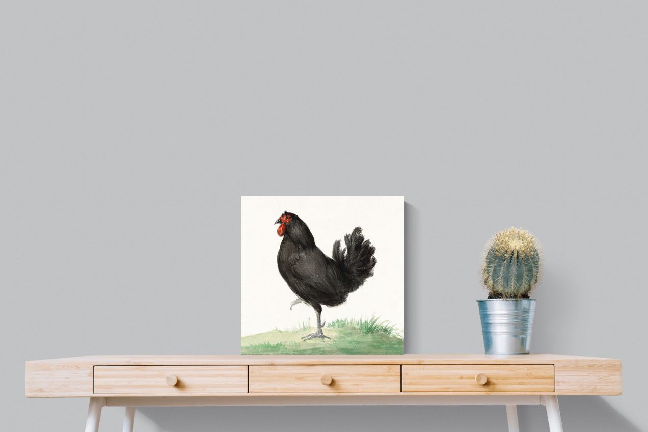 Pixalot Standing Black Chicken