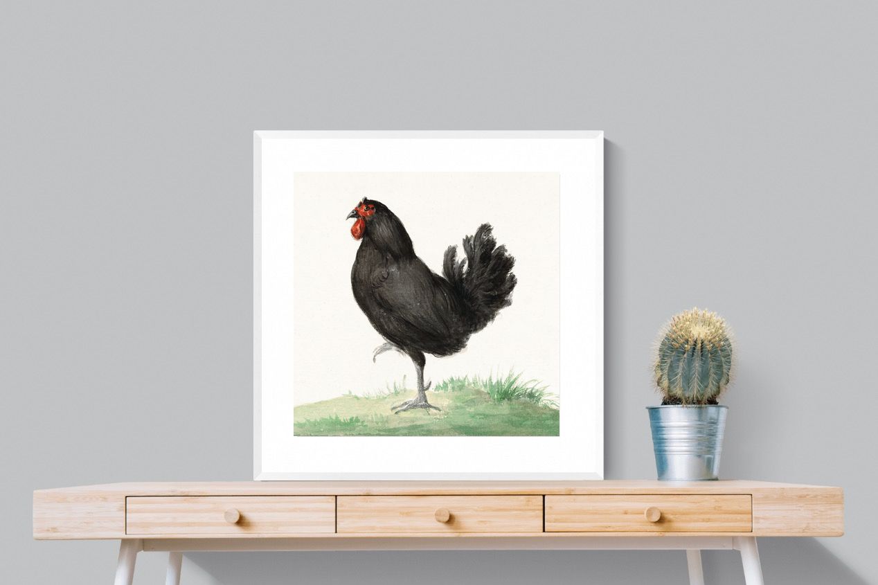 Pixalot Standing Black Chicken