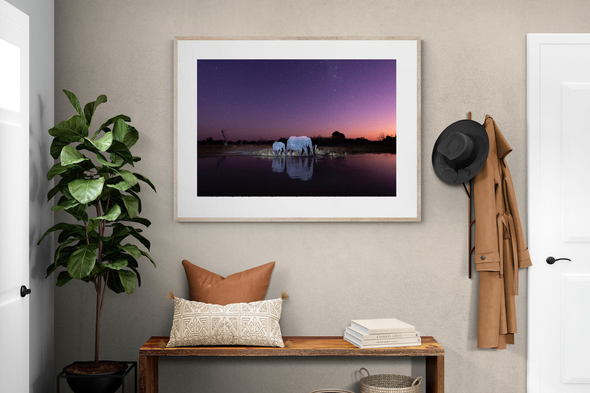 Pixalot ® Starlit Waterhole