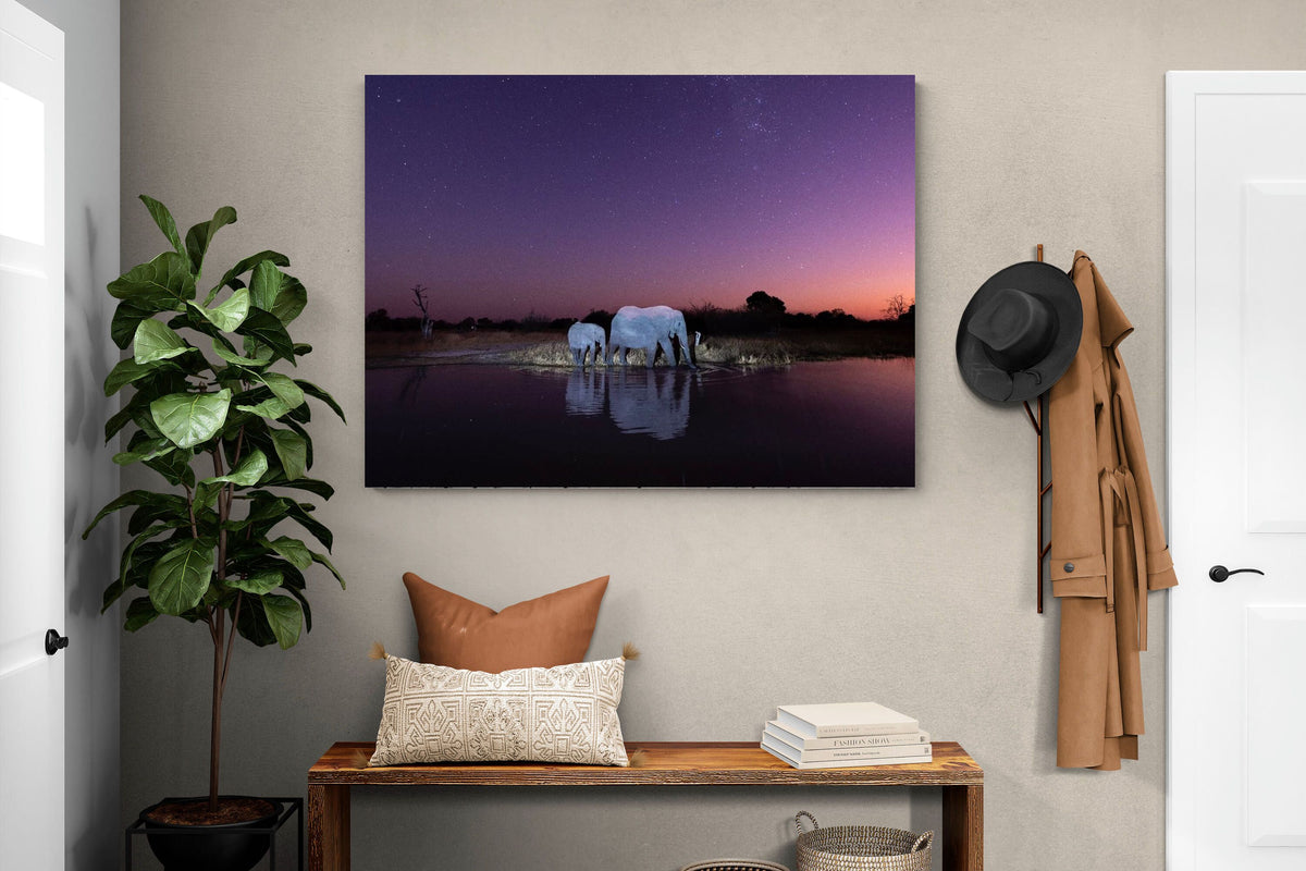 Pixalot ® Starlit Waterhole