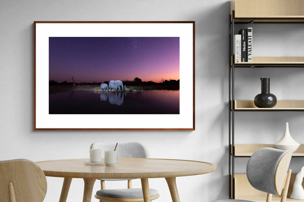 Pixalot ® Starlit Waterhole