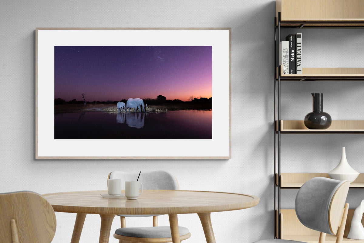 Pixalot ® Starlit Waterhole