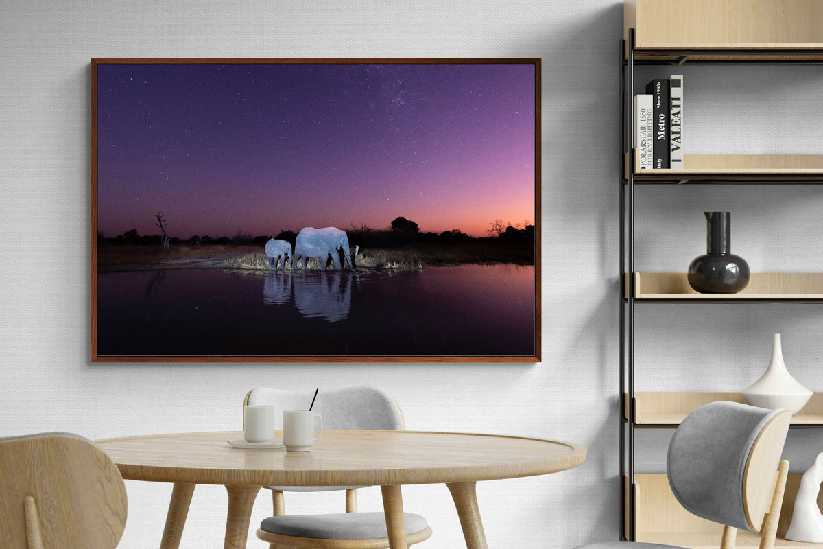 Pixalot ® Starlit Waterhole