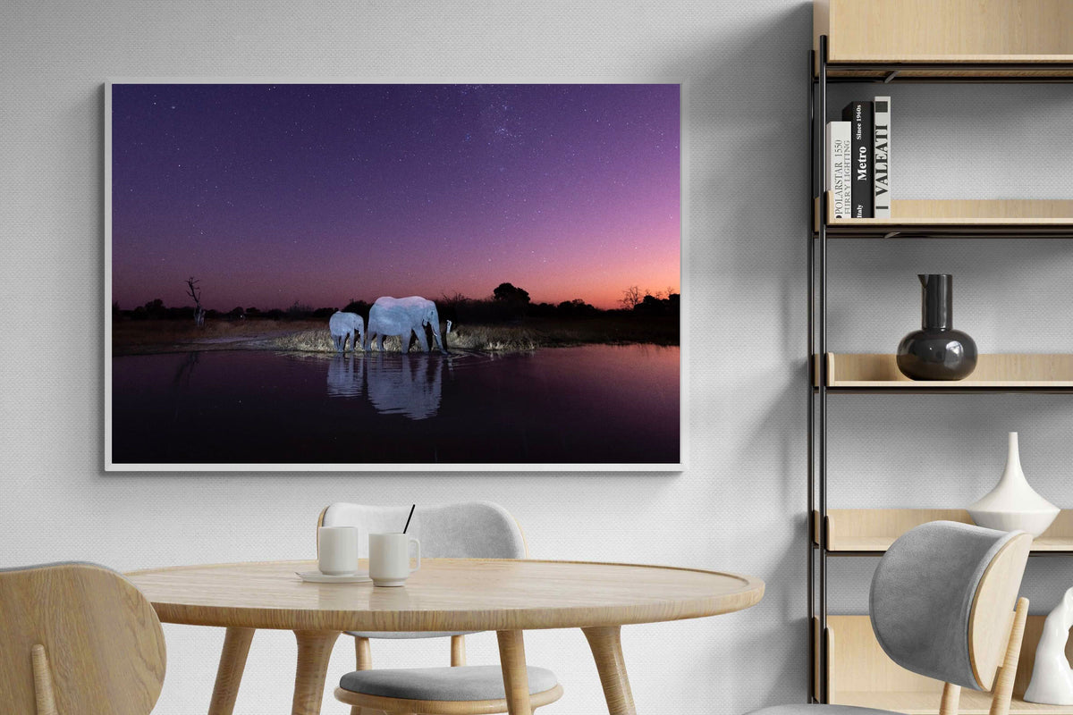 Pixalot ® Starlit Waterhole