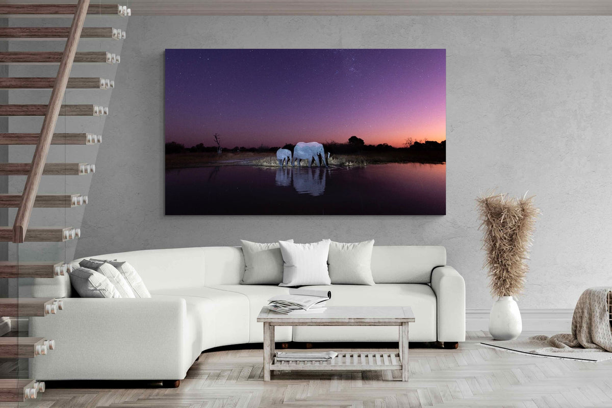 Pixalot ® Starlit Waterhole