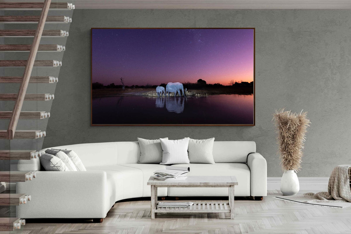 Pixalot ® Starlit Waterhole