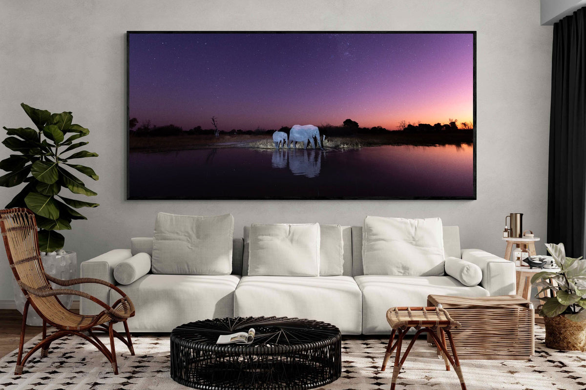 Pixalot ® Starlit Waterhole