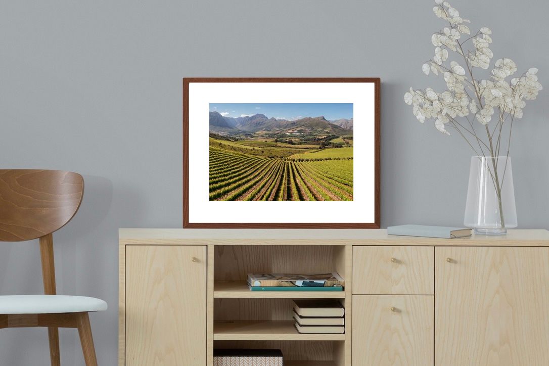 Pixalot ® Stellenbosch