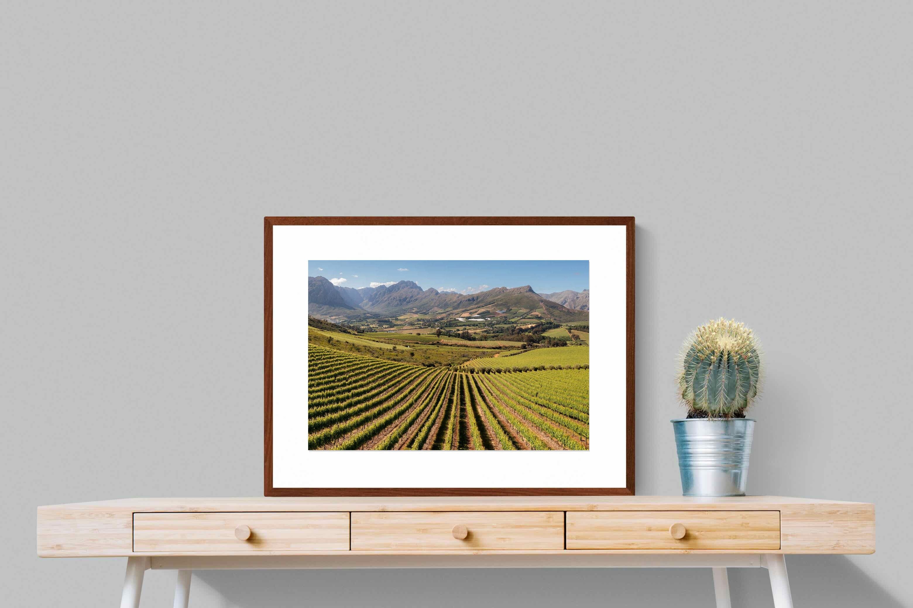 Pixalot ® Stellenbosch