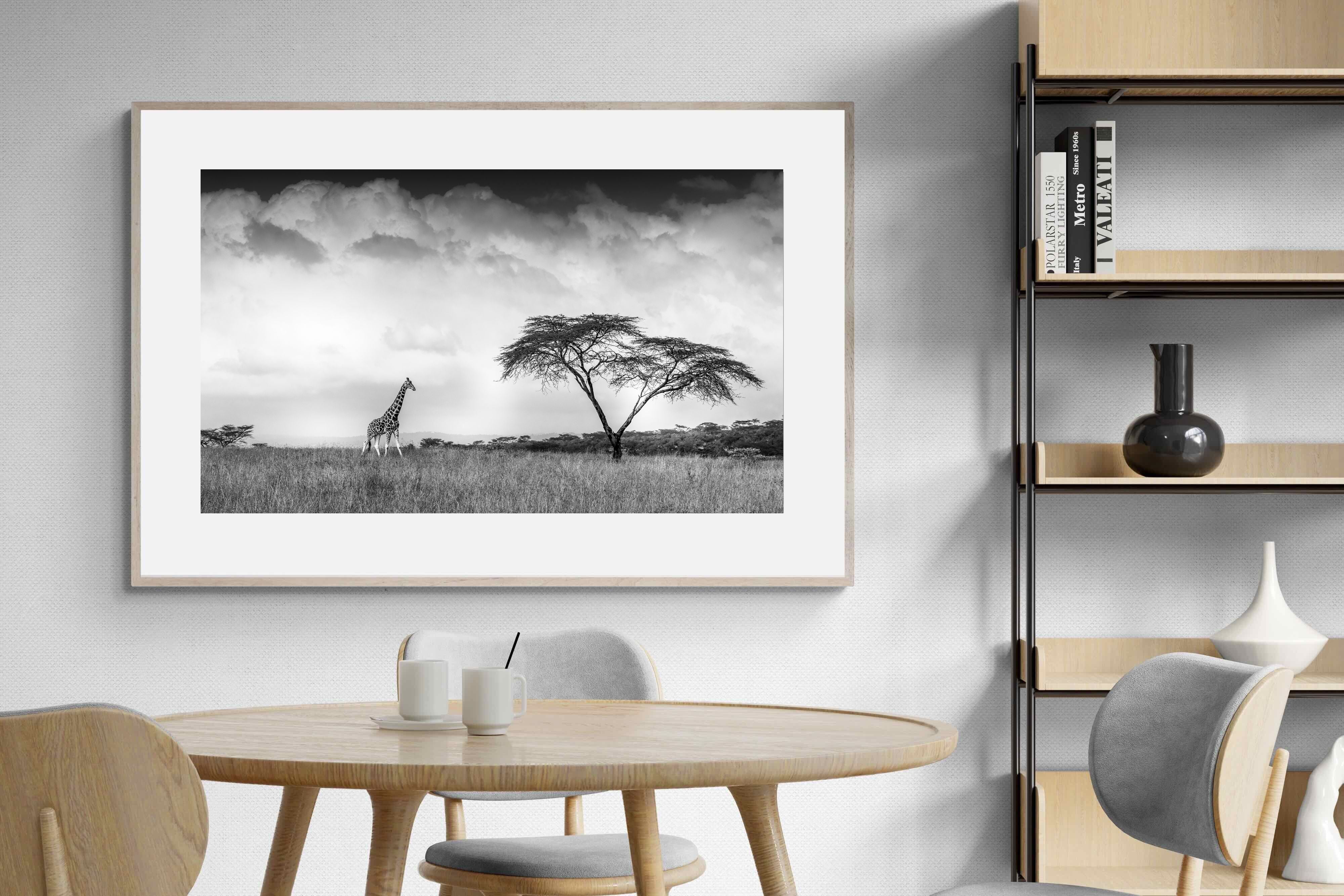 Pixalot ® Stormy Africa