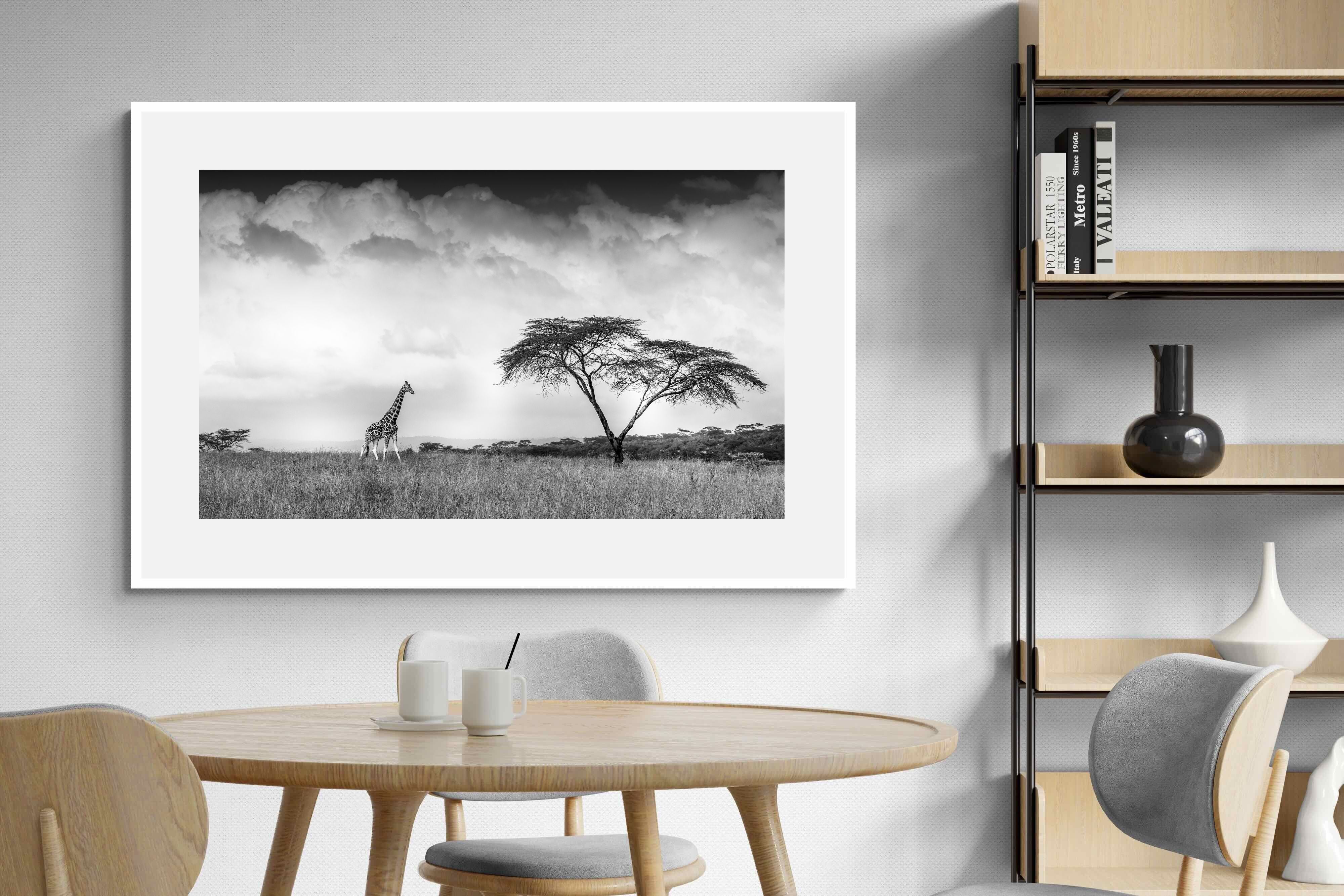 Pixalot ® Stormy Africa