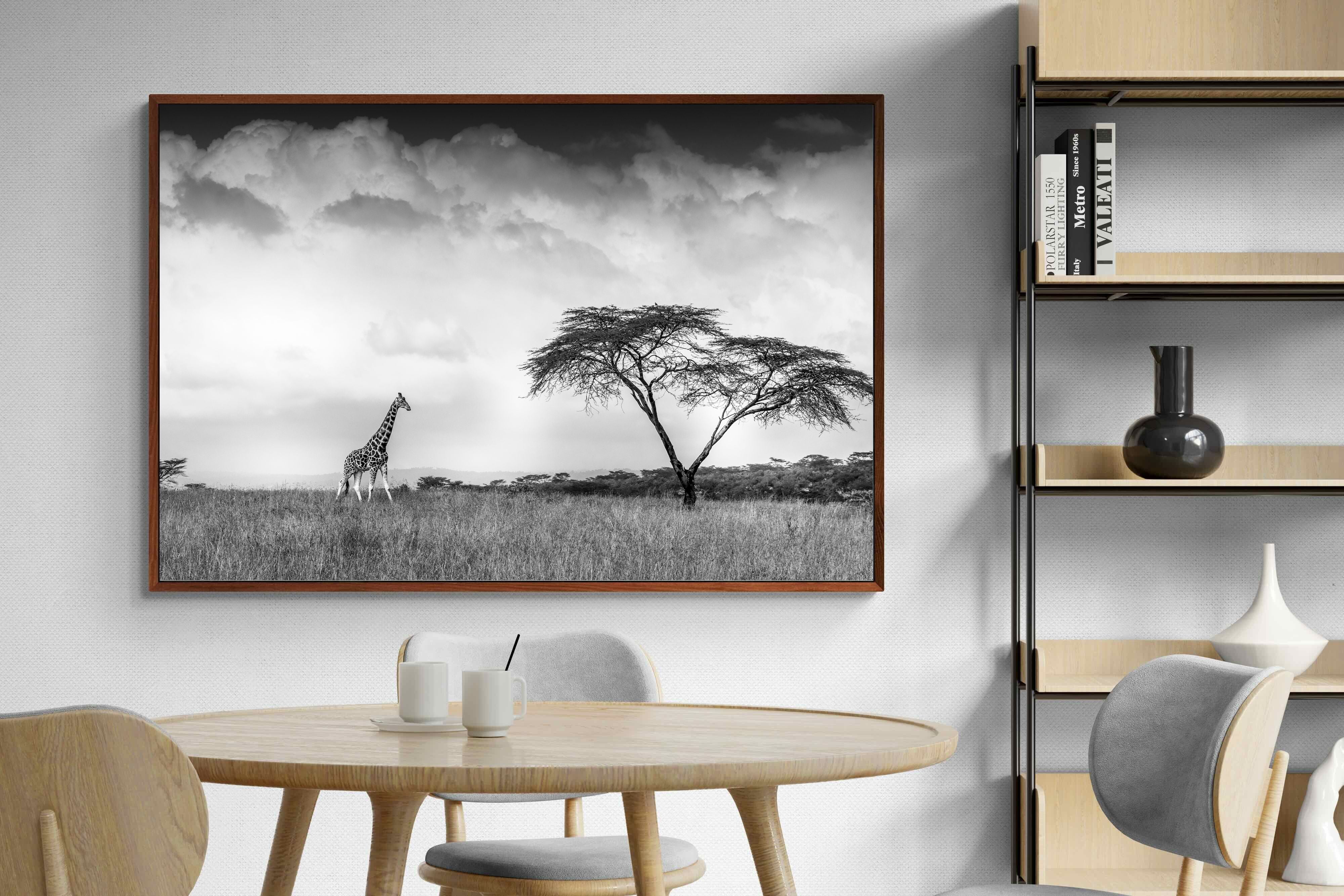 Pixalot ® Stormy Africa