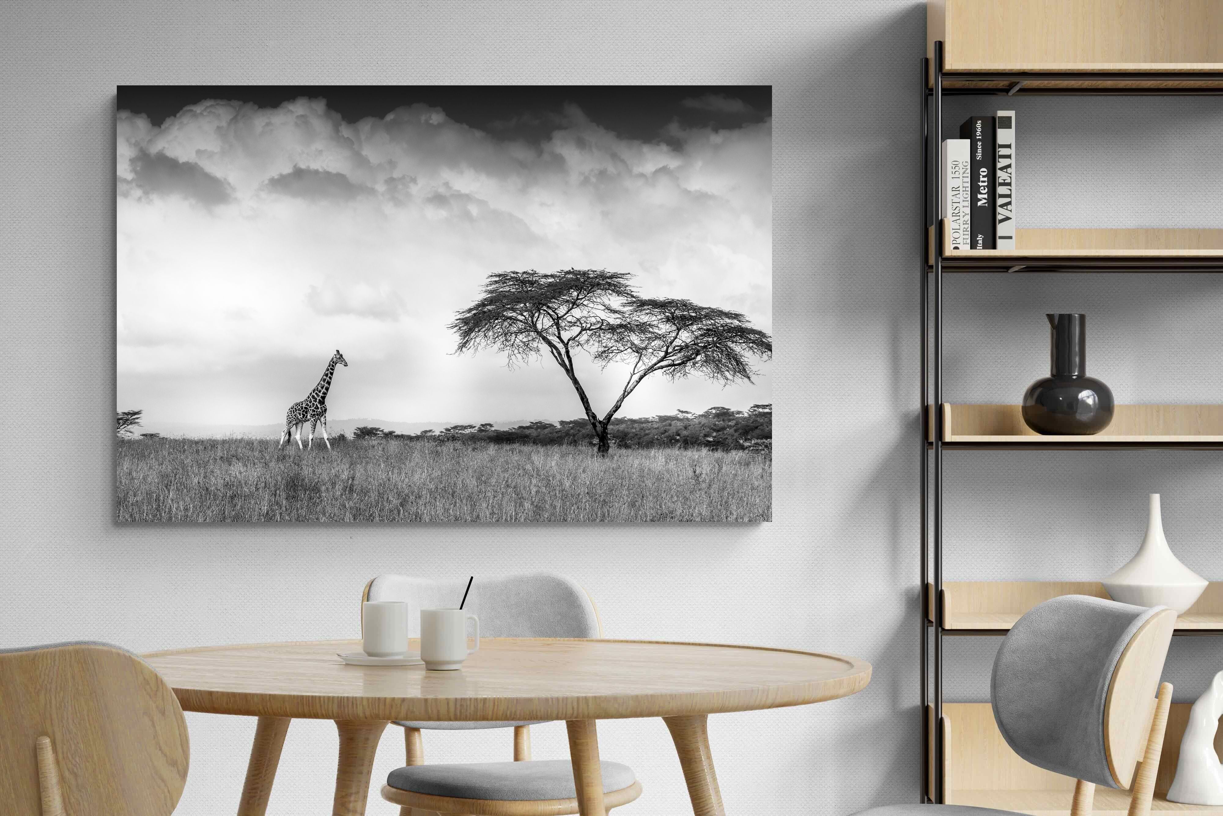 Pixalot ® Stormy Africa