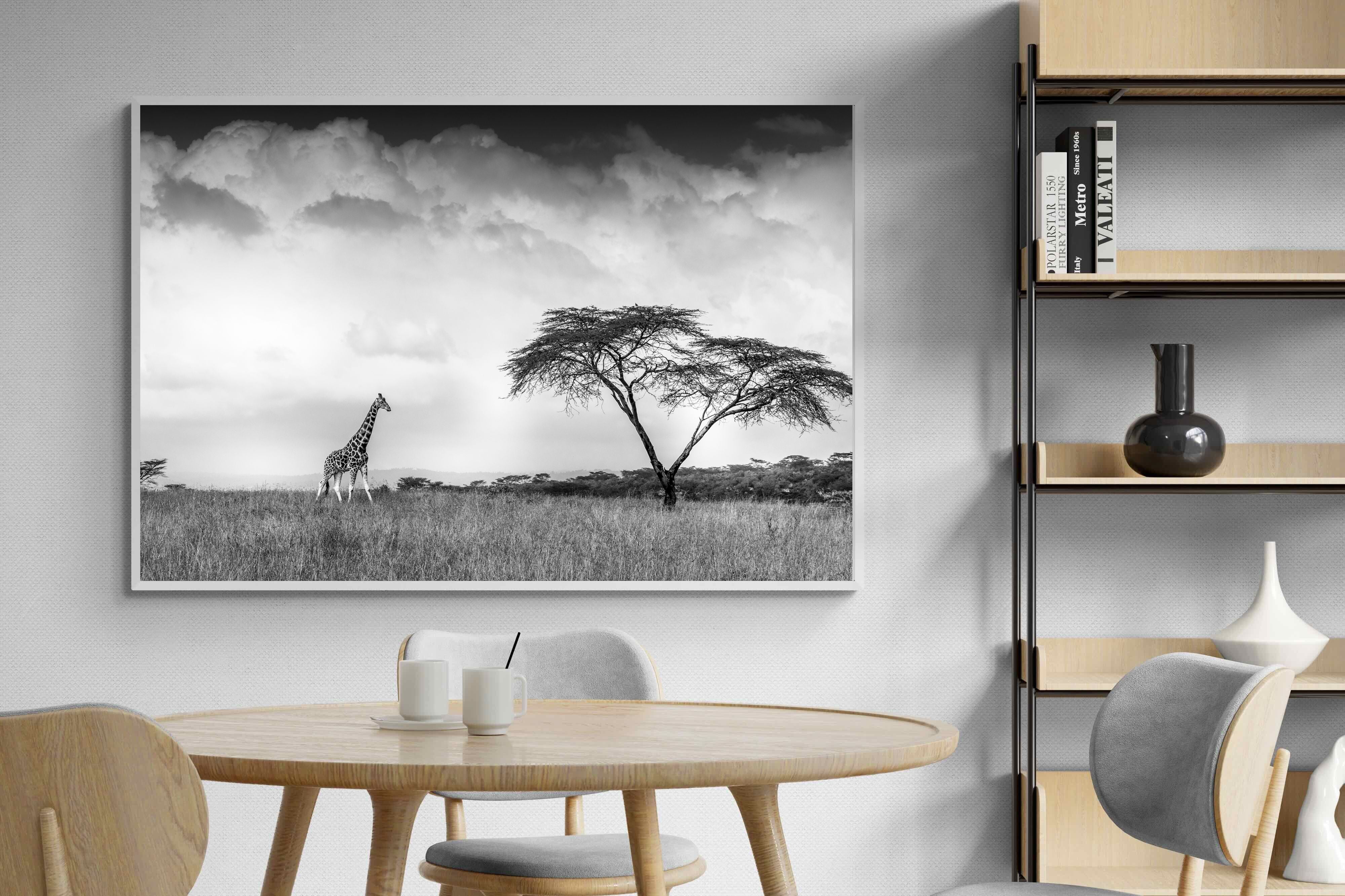 Pixalot ® Stormy Africa